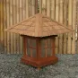 morepic-5